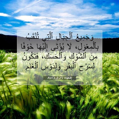 Picture 07 - إِشَعْيَاءَ 7:25 AVD - وَجَمِيعُ ٱلْجِبَالِ - Bible Verse Picture