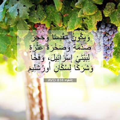 Picture 07 - إِشَعْيَاءَ 8:14 AVD - وَيَكُونُ مَقْدِسًا - Bible Verse Picture