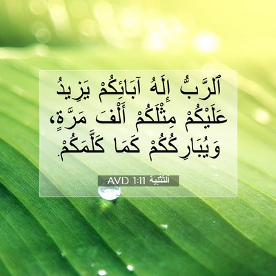 Picture 07 - اَلتَّثْنِيَة 1:11 AVD - ٱلرَّبُّ إِلَهُ - Bible Verse Picture