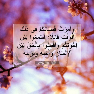Picture 07 - اَلتَّثْنِيَة 1:16 AVD - وَأَمَرْتُ قُضَاتَكُمْ - Bible Verse Picture