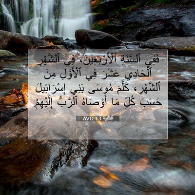 Picture 07 - اَلتَّثْنِيَة 1:3 AVD - فَفِي ٱلسَّنَةِ - Bible Verse Picture