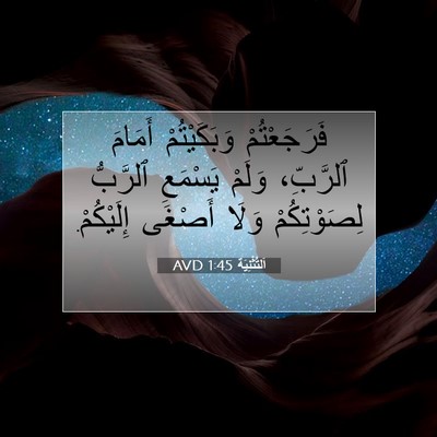 Picture 07 - اَلتَّثْنِيَة 1:45 AVD - فَرَجَعْتُمْ وَبَكَيْتُمْ - Bible Verse Picture