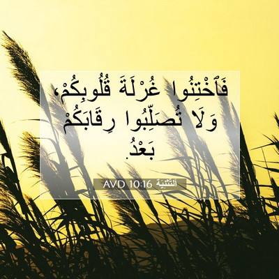 Picture 07 - اَلتَّثْنِيَة 10:16 AVD - فَٱخْتِنُوا غُرْلَةَ - Bible Verse Picture