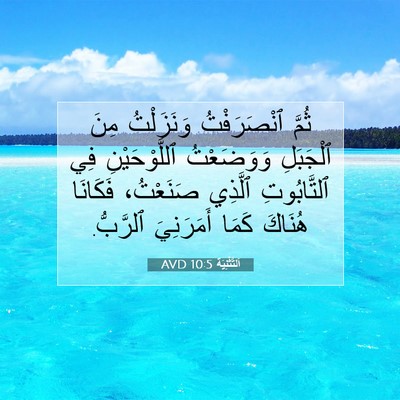 Picture 07 - اَلتَّثْنِيَة 10:5 AVD - ثُمَّ ٱنْصَرَفْتُ - Bible Verse Picture