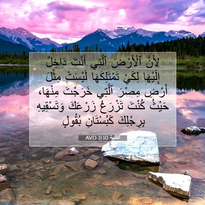 Picture 07 - اَلتَّثْنِيَة 11:10 AVD - لِأَنَّ ٱلْأَرْضَ ٱلَّتِي - Bible Verse Picture