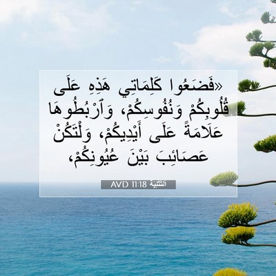 Picture 07 - اَلتَّثْنِيَة 11:18 AVD - «فَضَعُوا كَلِمَاتِي - Bible Verse Picture