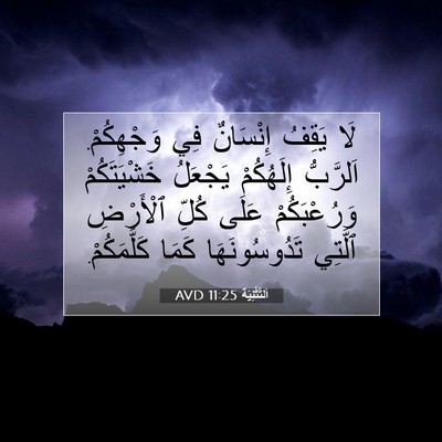 Picture 07 - اَلتَّثْنِيَة 11:25 AVD - لَا يَقِفُ إِنْسَانٌ فِي - Bible Verse Picture