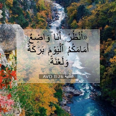 Picture 07 - اَلتَّثْنِيَة 11:26 AVD - «اُنْظُرْ. أَنَا وَاضِعٌ - Bible Verse Picture