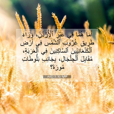 Picture 07 - اَلتَّثْنِيَة 11:30 AVD - أَمَا هُمَا فِي عَبْرِ - Bible Verse Picture