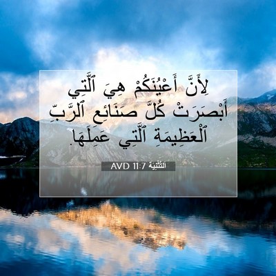 Picture 07 - اَلتَّثْنِيَة 11:7 AVD - لِأَنَّ أَعْيُنَكُمْ هِيَ - Bible Verse Picture