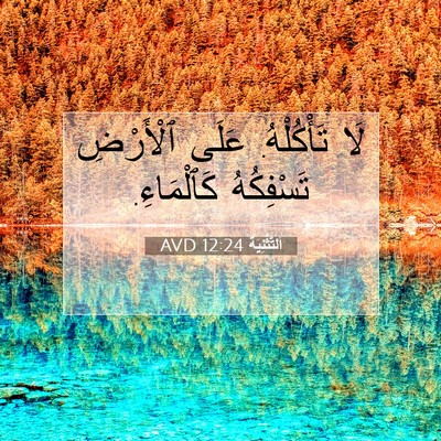 Picture 07 - اَلتَّثْنِيَة 12:24 AVD - لَا تَأْكُلْهُ. عَلَى - Bible Verse Picture