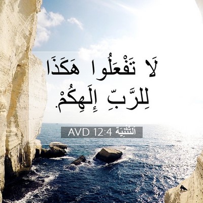 Picture 07 - اَلتَّثْنِيَة 12:4 AVD - لَا تَفْعَلُوا هَكَذَا - Bible Verse Picture