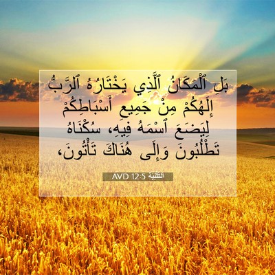 Picture 07 - اَلتَّثْنِيَة 12:5 AVD - بَلِ ٱلْمَكَانُ ٱلَّذِي - Bible Verse Picture