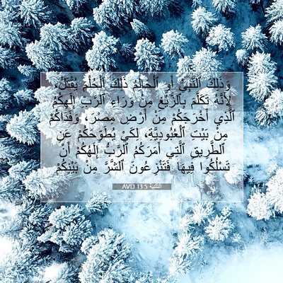 Picture 07 - اَلتَّثْنِيَة 13:5 AVD - وَذَلِكَ ٱلنَّبِيُّ أَوِ - Bible Verse Picture