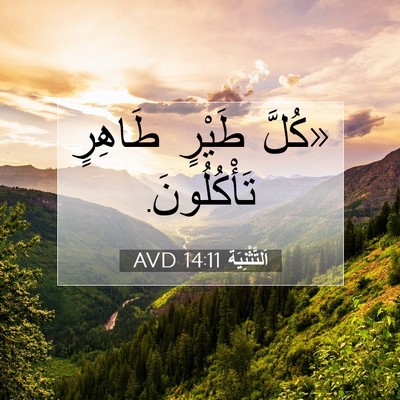 Picture 07 - اَلتَّثْنِيَة 14:11 AVD - «كُلَّ طَيْرٍ طَاهِرٍ - Bible Verse Picture
