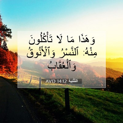 Picture 07 - اَلتَّثْنِيَة 14:12 AVD - وَهَذَا مَا لَا - Bible Verse Picture
