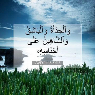 Picture 07 - اَلتَّثْنِيَة 14:13 AVD - وَٱلْحِدَأَةُ - Bible Verse Picture