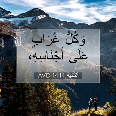 Picture 07 - اَلتَّثْنِيَة 14:14 AVD - وَكُلُّ غُرَابٍ عَلَى - Bible Verse Picture