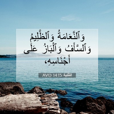 Picture 07 - اَلتَّثْنِيَة 14:15 AVD - وَٱلنَّعَامَةُ - Bible Verse Picture