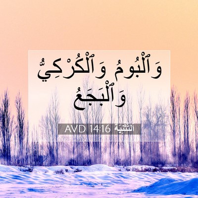 Picture 07 - اَلتَّثْنِيَة 14:16 AVD - وَٱلْبُومُ وَٱلْكُرْكِيُّ - Bible Verse Picture