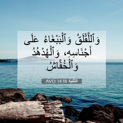 Picture 07 - اَلتَّثْنِيَة 14:18 AVD - وَٱللَّقْلَقُ - Bible Verse Picture