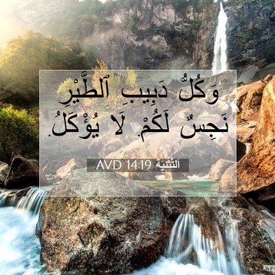 Picture 07 - اَلتَّثْنِيَة 14:19 AVD - وَكُلُّ دَبِيبِ ٱلطَّيْرِ - Bible Verse Picture