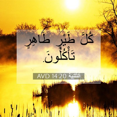 Picture 07 - اَلتَّثْنِيَة 14:20 AVD - كُلَّ طَيْرٍ طَاهِرٍ - Bible Verse Picture