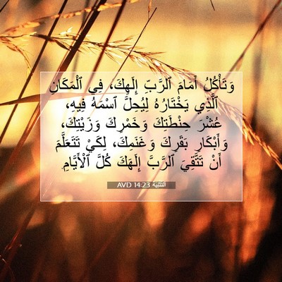Picture 07 - اَلتَّثْنِيَة 14:23 AVD - وَتَأْكُلُ أَمَامَ - Bible Verse Picture