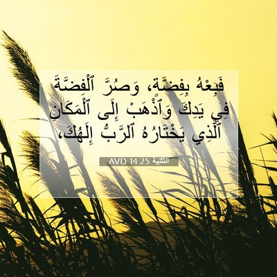 Picture 07 - اَلتَّثْنِيَة 14:25 AVD - فَبِعْهُ بِفِضَّةٍ، - Bible Verse Picture