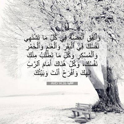 Picture 07 - اَلتَّثْنِيَة 14:26 AVD - وَأَنْفِقِ ٱلْفِضَّةَ فِي - Bible Verse Picture