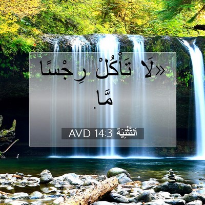Picture 07 - اَلتَّثْنِيَة 14:3 AVD - «لَا تَأْكُلْ رِجْسًا - Bible Verse Picture