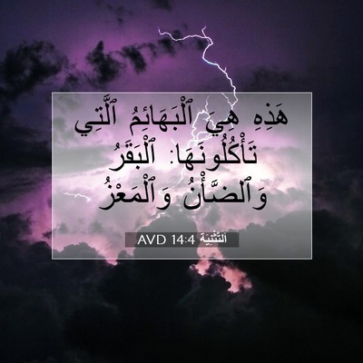 Picture 07 - اَلتَّثْنِيَة 14:4 AVD - هَذِهِ هِيَ ٱلْبَهَائِمُ - Bible Verse Picture