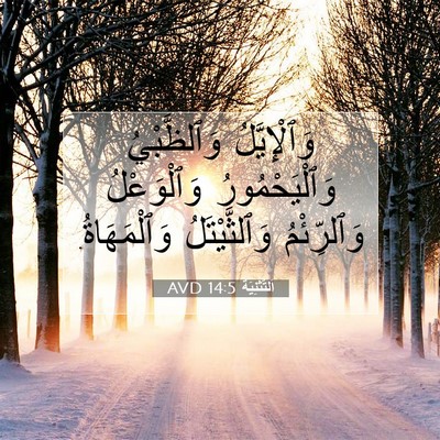 Picture 07 - اَلتَّثْنِيَة 14:5 AVD - وَٱلْإِيَّلُ وَٱلظَّبْيُ - Bible Verse Picture