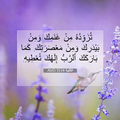 Picture 07 - اَلتَّثْنِيَة 15:14 AVD - تُزَوِّدُهُ مِنْ غَنَمِكَ - Bible Verse Picture