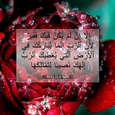 Picture 07 - اَلتَّثْنِيَة 15:4 AVD - إِلَّا إِنْ لَمْ يَكُنْ - Bible Verse Picture