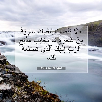 Picture 07 - اَلتَّثْنِيَة 16:21 AVD - «لَا تَنْصِبْ لِنَفْسِكَ - Bible Verse Picture
