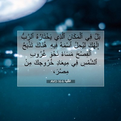 Picture 07 - اَلتَّثْنِيَة 16:6 AVD - بَلْ فِي ٱلْمَكَانِ - Bible Verse Picture