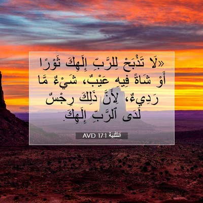 Picture 07 - اَلتَّثْنِيَة 17:1 AVD - «لَا تَذْبَحْ لِلرَّبِّ - Bible Verse Picture