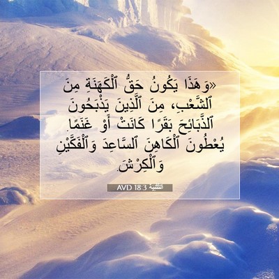 Picture 07 - اَلتَّثْنِيَة 18:3 AVD - «وَهَذَا يَكُونُ حَقُّ - Bible Verse Picture