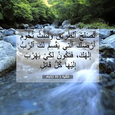Picture 07 - اَلتَّثْنِيَة 19:3 AVD - تُصْلِحُ ٱلطَّرِيقَ - Bible Verse Picture