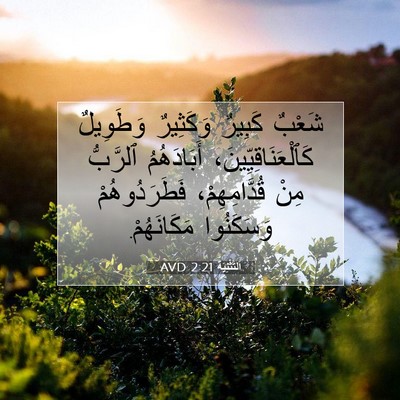 Picture 07 - اَلتَّثْنِيَة 2:21 AVD - شَعْبٌ كَبِيرٌ وَكَثِيرٌ - Bible Verse Picture