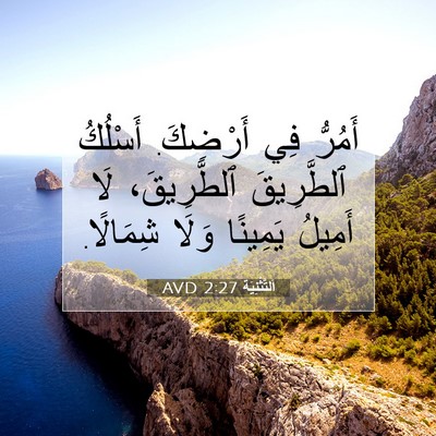 Picture 07 - اَلتَّثْنِيَة 2:27 AVD - أَمُرُّ فِي أَرْضِكَ. - Bible Verse Picture