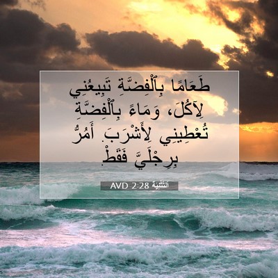 Picture 07 - اَلتَّثْنِيَة 2:28 AVD - طَعَامًا بِٱلْفِضَّةِ - Bible Verse Picture