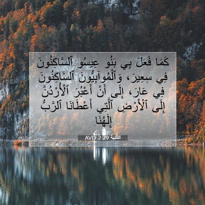 Picture 07 - اَلتَّثْنِيَة 2:29 AVD - كَمَا فَعَلَ بِي بَنُو - Bible Verse Picture