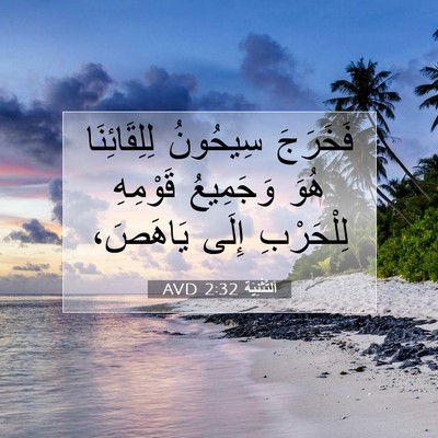 Picture 07 - اَلتَّثْنِيَة 2:32 AVD - فَخَرَجَ سِيحُونُ - Bible Verse Picture
