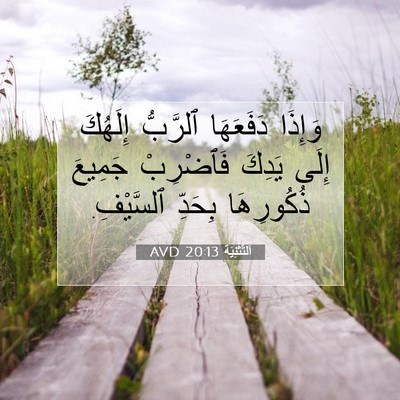 Picture 07 - اَلتَّثْنِيَة 20:13 AVD - وَإِذَا دَفَعَهَا - Bible Verse Picture