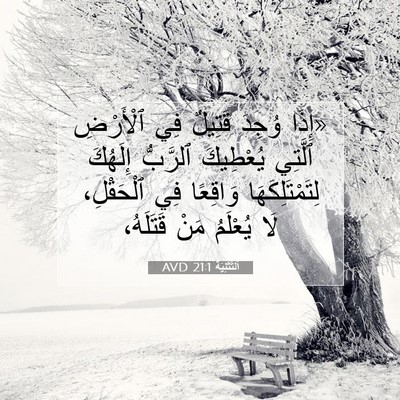 Picture 07 - اَلتَّثْنِيَة 21:1 AVD - «إِذَا وُجِدَ قَتِيلٌ فِي - Bible Verse Picture