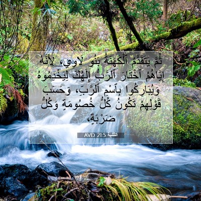Picture 07 - اَلتَّثْنِيَة 21:5 AVD - ثُمَّ يَتَقَدَّمُ - Bible Verse Picture