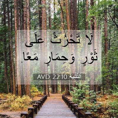 Picture 07 - اَلتَّثْنِيَة 22:10 AVD - لَا تَحْرُثْ عَلَى ثَوْرٍ - Bible Verse Picture