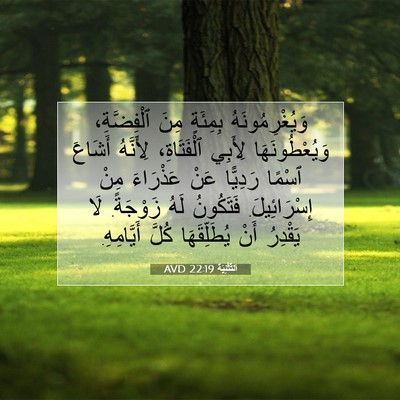 Picture 07 - اَلتَّثْنِيَة 22:19 AVD - وَيُغْرِمُونَهُ بِمِئَةٍ - Bible Verse Picture